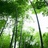 雲淡風輕