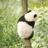 虾仁不眨眼