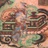 曲肱而枕之
