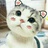 Kaylee～喵～