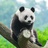 精彩的阳光