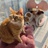 catchat