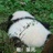 豆友155944881