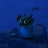 Toothless
