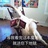 王金宝