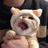 酸奶啊
