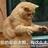 厘米㎝