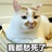 给我来筐养乐多-