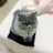 cathy_newlife
