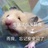 别管我了