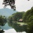夏虫