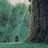 飞光
