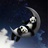 panda