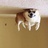 找