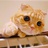 sunny_boys