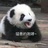 回忆大人