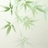 放逐的蒲公英