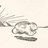 Merl Agnew