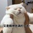 灰化回会花黑