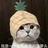 Jane酱