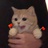 漳一小霸王