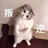 一只喵