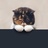没事就随便看看
