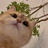 ?和?