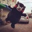 阿联酋酋长