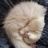 小鱼吃大猫