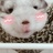 凉