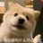 阿豪