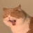 吵吵