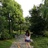 EliseShi