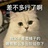小罗一二