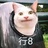 信条