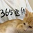 何至于此