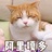 明好小啾咪