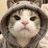 qq