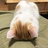 hello