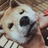 吾乃荒川之主