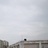 想偷着乐的Sue