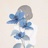 该24