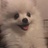 theairpeach
