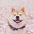 身在井隅