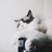 Miss.Furry