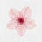 一伽桃花