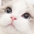 MierCat
