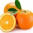 橘子树上的大橘