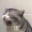 斷水流大師兄